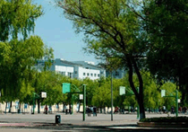 哈尔滨工程大学航空服务班 哈工大<em>空乘</em>招生 空